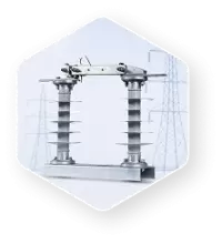 Vina Electric Corporation